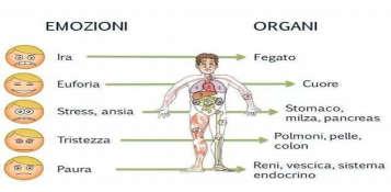 OBIETTIVI DI APPRENDIMENTO ANNUALI - Riconoscere, differenziare,