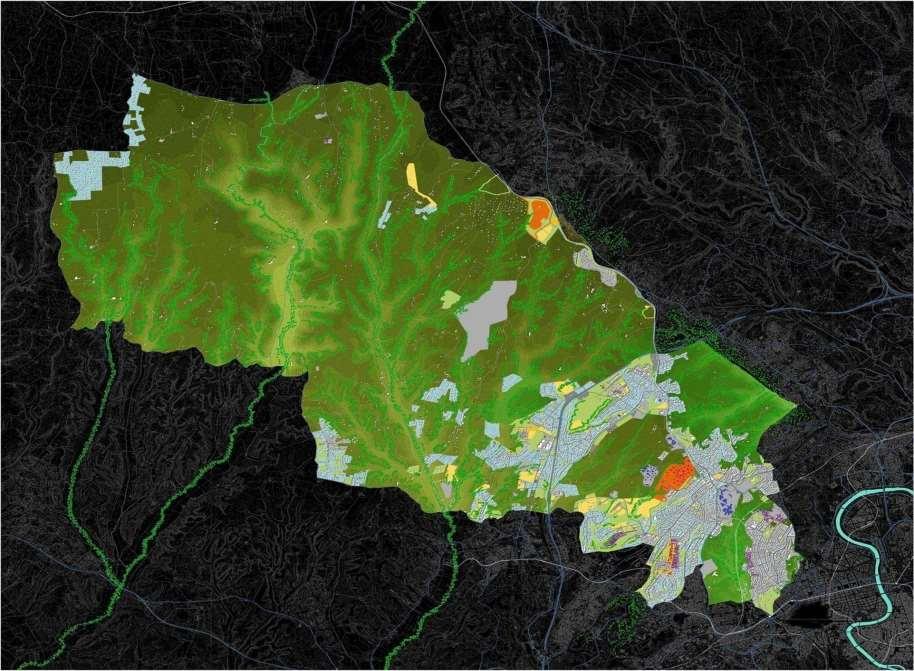 DISTRIBUZIONE AMBULATORI MMG CESANO S. Maria di Galeria 3.829 ab G.R.A. OTTAVIA 16.334 AB 8 AMB-14 MMG Castelluccia 23.714 ab 3 amb-9 MMG S. M. P. 21.