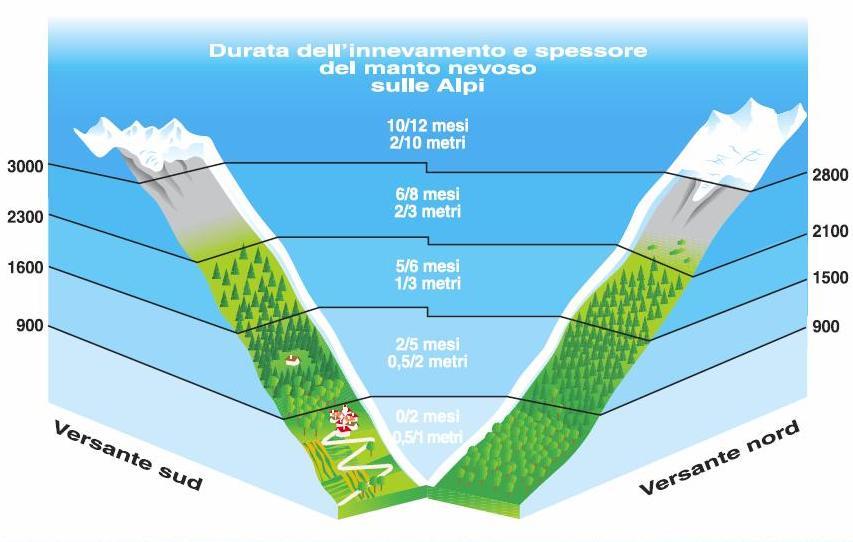 Quota delle nevi perenni Varia anche