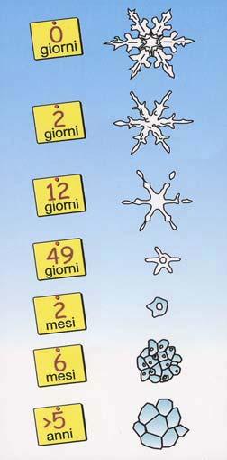 firn: 300 600 kg/m³ 50%-30% di aria Ghiaccio: 800