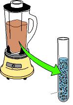 000 g per 60 min Centrifugazione del sopranatante a 200.