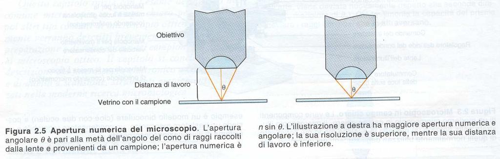 obiettivi; aumentare il nominatore, cioè aumentare l apertura numerica dell obiettivo (n sen α), agendo sulle due grandezze n ed α che la determinano: per aumentare l angolo α è possibile diminuire