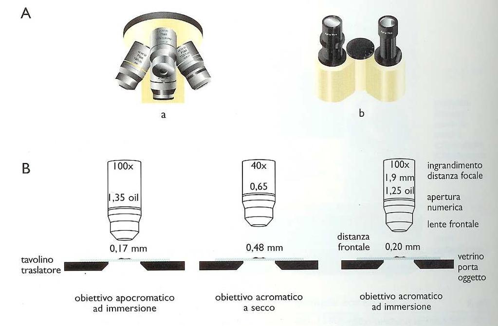 Sistema ottico È la parte fondamentale dello strumento e comprende i due sistemi di lenti composti: gli obiettivi e gli oculari. 11.