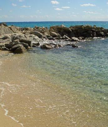 Enea arriva sulla spiaggia con il