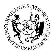 I GRO PLRMO - TTNZION NON INIZIR IL TST PRIM H VNG SPLIITMNT ORINTO Università degli Studi di Palermo Selezione per l accesso ai percorsi di formazione per il conseguimento della