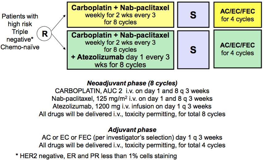 neotrip-apdl1 Study