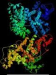 NanodisposiFvi: Nanopori Dendrimeri Nanotubi PunF quanfci