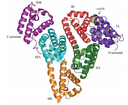 La piattaforma nab La piattaforma nab sfrutta le proprietà dell albumina ü L albumina è un carrier naturale del corpo umano dotata di alta solubilità, numerosi siti di legame, affinità recettoriale e