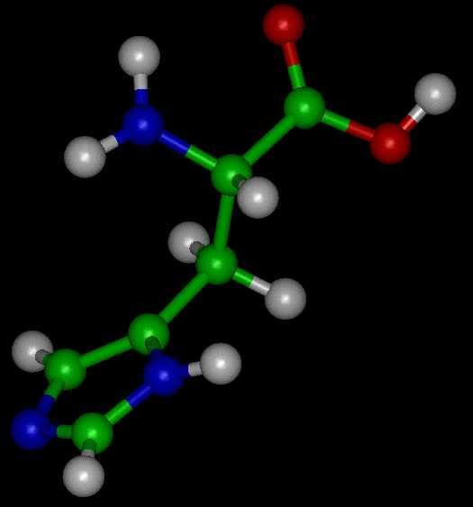 Definizioni utili omologo : un gene correlato a un secondo gene da discendenza da comune sequenza di DNA ancenstrale Se due