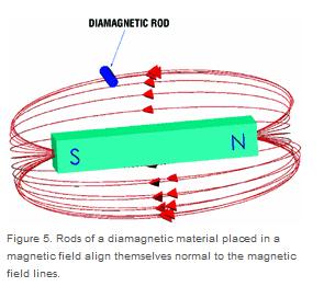 Quando agisce un campo magnetico esterno, il moto degli elettroni viene perturbato e compare un debole momento magnetico che è opposto al campo esterno.