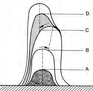 Fig. 6 - Improvvisi cambi di chimismo evidenziati da cambi di colore o di tessitura delle bande di accrescimento o improvvisi cambi nella verticalità dell asse delle stalagmiti possono essere indice