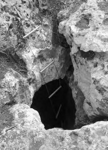 Il quadro litologico-strutturale e il modellamento carsico Fig. 1 - Il pozzo di accesso nella Grotta di Lamalunga.