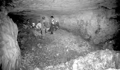 Il concrezionamento (stalattiti, stalagmiti e colate calcitiche), dovuto alla permeabilità della roccia che ha facilitato la venuta in grotta di acque di infiltrazione sovrassature, ha ulteriormente