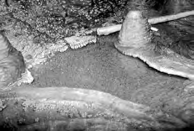 grotta esplorata. Le fasi di inondazione potrebbero verosimilmente risalire al primo periodo di formazione della grotta allorquando il V.ne Lamalunga, colmo d acqua, incideva il suo corso.