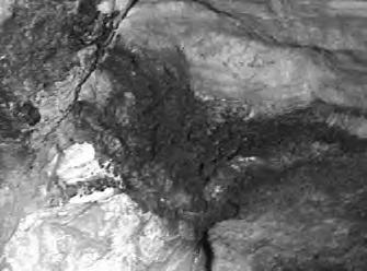 Il calcare al quale le croste nere aderiscono appare fratturato e visibilmente carsificato con inclusioni di terra rossa.