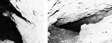 Fig. 19 - Microscopia elettronica e Microanalisi X (SEM- EDX) della polvere di grotta.