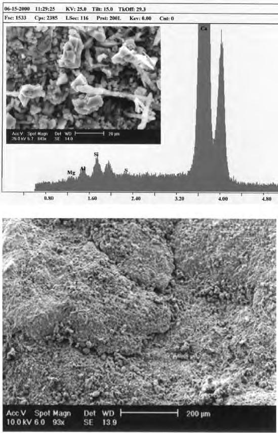 elementi secondari, della composizione mineralogica del substrato lapideo sul quale aderisce lo speleotema. corredato da microanalisi (EDX) su campioni prelevati dalle superfici della volta (camp.