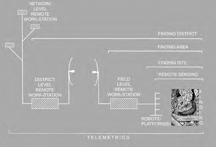 Fig. 3 - Schema di una possibile architettura telematica di tecnologie per la fruizione in sede remota di un reperto.
