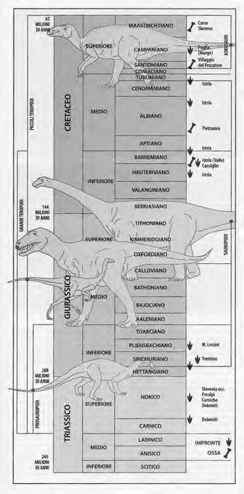 PIERO PIERI 1 I Dinosauri in Puglia: aspetti paleoambientali e paleogeografici Premessa I dinosauri appartengono ad una grande famiglia di animali suddivisi in due gruppi: gli Ornitischi con alcuni