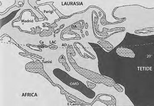 Fig. 6 - Una delle possibili ricostruzioni paleogeografiche della Tetide occidentale, l antico oceano compreso fra i due continenti Laurasia e Africa durante il Crotaceo superiore.