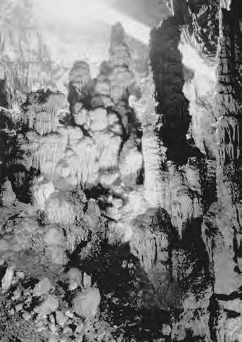 Si tratta di cavità naturali di origine carsica formatesi all interno di rocce carbonatiche (calcare), di cui 5 a sviluppo prevalentemente verticale, e 4 grotte a sviluppo superficiale e ad andamento