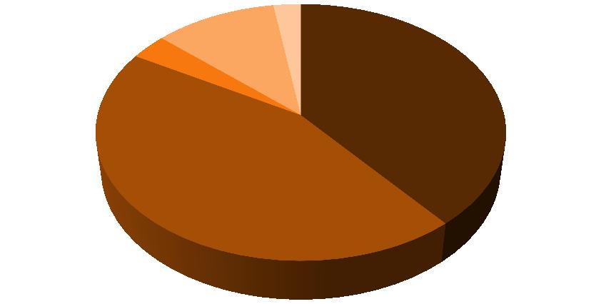 Grafico 11 -Cittadini non comunitari regolarmente presenti al 1 gennaio 2016 per motivo della presenza Altro 2,5% Famiglia 44,3% Asilo/Umanitari 11,0% Studio 3,3% Lavoro 39,0% Dei cittadini non