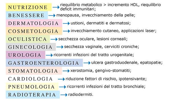 Ingredienti: Olio di bacche di Olivello spinoso (Hippophae rhamnoides) 72%, capsula: amido di mais modificato, stabilizzanti: glicerolo, carragenina, fosfato disodico; antiossidante: alfa-tocoferolo.