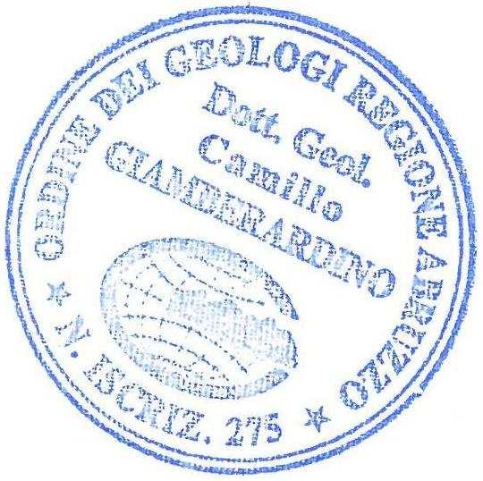 Per le indagini integrative di terzo livello si dovranno eseguire: caratterizzazione geometrica e meccanica dettagliata del sito tramite accurate indagini geologiche e geotecniche, in grado di