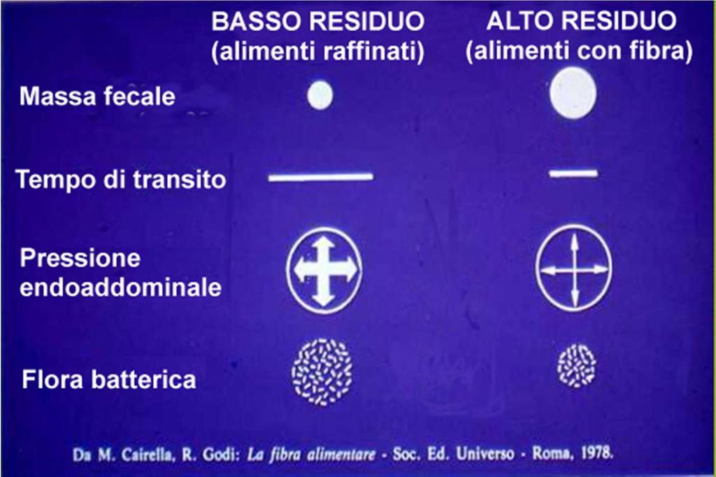 Un consumo prevalente di cibi raffinati (poveri di fibra) rispetto a quelli integrali, comporterà: 1. riduzione della massa fecale, 2.