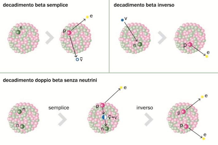 dalla teoria alla pratica rarissimo: per ogni nucleo è previsto