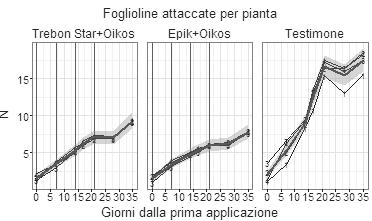 Tabella 8. Numero medio di foglie attaccate da T.