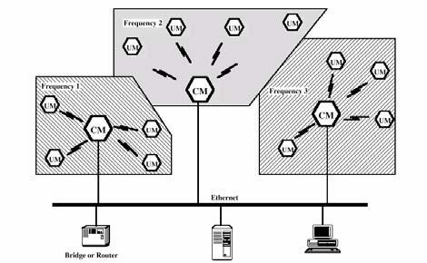 percorso fra ogni coppia di nodi Solo i bridge sul percorso instradano le trame Instradamento spanning tree I bridge determinano automaticamente una tabella di istradamento e la aggiornano Basato su