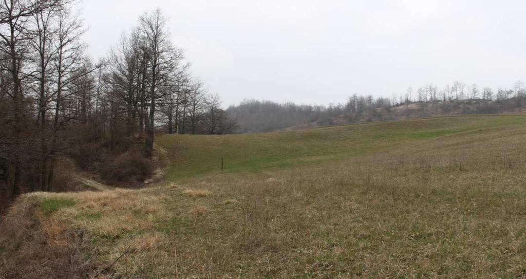 Vista della dorsale secondaria assunta come limite meridionale dell area di zonizzazione (frecce rosse).