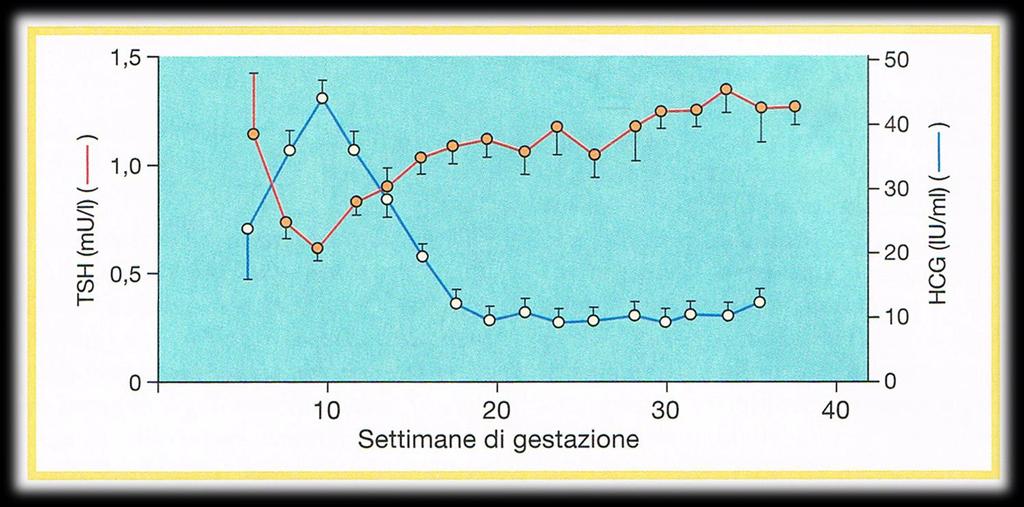 EFFETTO DELLA