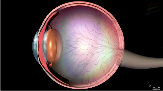 Ottica fisica: luce e oggetti