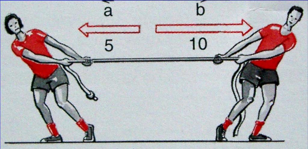 Statica Parte della meccanica che studia le condizioni di equilibrio dei corpi