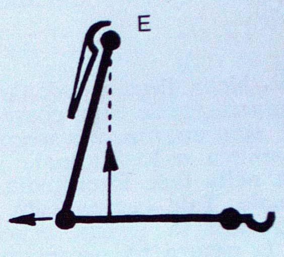 L effetto statico di una contrazione muscolare può paradossalmente realizzare un effetto dinamico quasi involontario a livello di un fulcro articolare sovra o sottostante L effetto dinamico