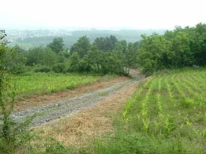 CONIOLO Riqualificazione di