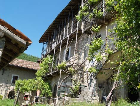 UNITÀ MINIMA D INTERVENTO N 7 Caruppo-Carubbo prende il nome dalla famiglia Rubis Edificio rurale di 3 piani in cortina posto al centro della frazione di Carubbo.