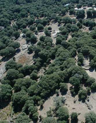 Agricoltura e alle Foreste)