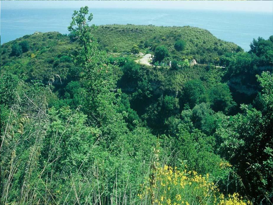 UNIVERSITA POLITECNICA DELLE MARCHE FACOLTA DI AGRARIA Corso di Laurea in Scienze e Tecnologie Agrarie Dipartimento di Scienze Ambientali e delle Produzioni