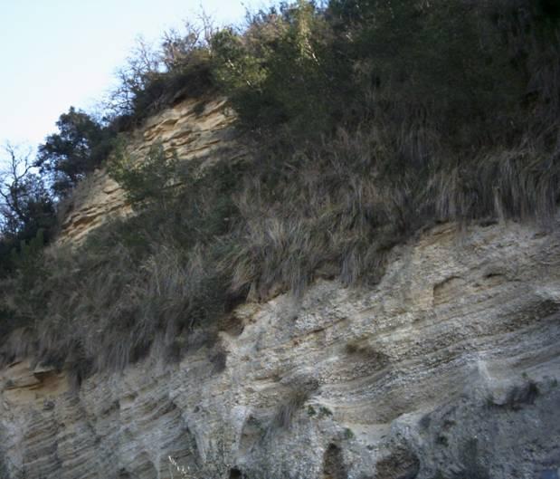 Pedaso Collina La Cupa: alternanza