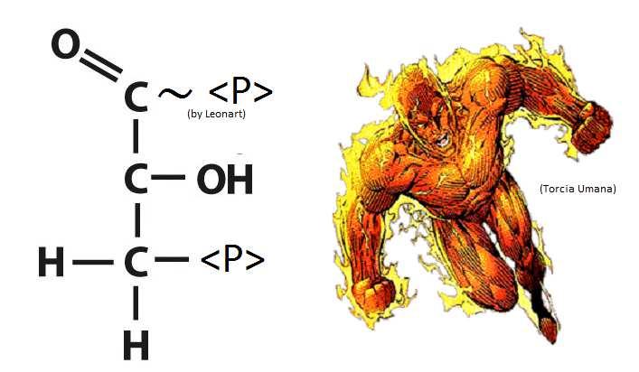 Il legame tra <P> e C1 è più debole a causa dell'elettronegatività dell'ossigeno e dal doppio legame che attrae il C1 e lo "distrae" dal legarsi col gruppo fosfato.