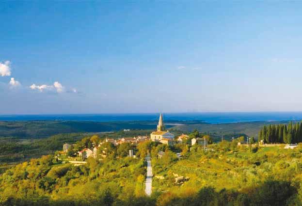 Enogastronomski itinerari. Putovima nezaboravnih okusa. Put maslinovog ulja U Sjeverozapadnoj Istri priroda se pokazuje u svoj svojoj raskošnoj ljepoti i bogatstvu plodova.