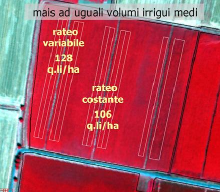 Risultati e discussione Si riportano in Tabella 1 i volumi irrigui in mm relativi agli estremi della variabilità della dose irrigua date alla posizioni con minima (RIU min.) e massima (RIU max.