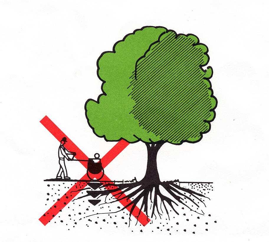 COSTIPAMENTO DEL TERRENO Nella zona delle