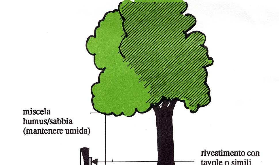 miscela di humus/sabbia 2:1 scavo miscela humus/sabbia riutilizzare il materiale disponibile innaffiare subito