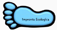 Possiamo misurare la pressione dell uomo sull ambiente: l impronta ecologica L IMPRONTA ECOLOGICA Che cos è?