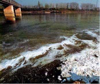 Inquinamento delle acque La contaminazione dei fiumi avviene per gli scarichi di sostanze nocive da parte di industrie.