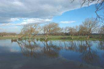 Rinnovo e perfezionamento dello storico accordo tra WWF e Marchese Incisa della Rocchetta A distanza di 45 anni dallo storico affidamento al WWF Italia del Padule di Bolgheri, prima Oasi privata